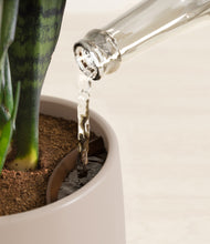 Load image into Gallery viewer, Eternal Gray stand:all