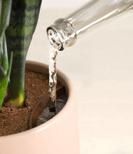 Load image into Gallery viewer, Gentle Pink stand:all