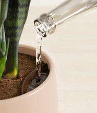 Load image into Gallery viewer, Gentle Pink stand:all