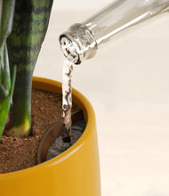 Load image into Gallery viewer, Mustard stand:all