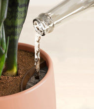 Load image into Gallery viewer, Calm Rose stand:all