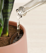 Load image into Gallery viewer, Calm Rose stand:all