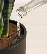 Load image into Gallery viewer, Black stand:all