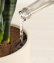 Load image into Gallery viewer, Cream stand:all