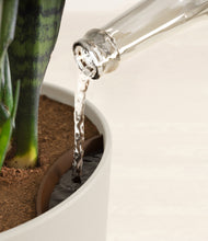 Load image into Gallery viewer, Natural Bamboo stand:all