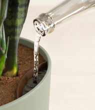 Load image into Gallery viewer, Sage Green stand:all