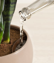 Load image into Gallery viewer, Desert Brown stand:all