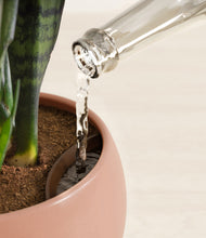 Load image into Gallery viewer, Calm Rose stand:all