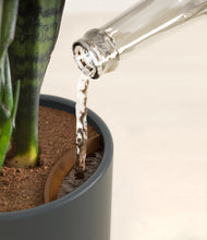 Load image into Gallery viewer, Iron Gray stand:all