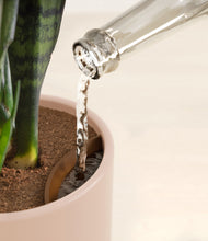 Load image into Gallery viewer, Sandy Pink stand:all