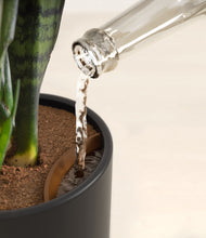 Load image into Gallery viewer, Eclipse