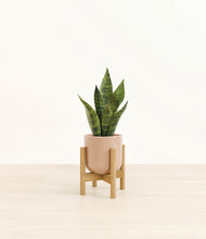 Load image into Gallery viewer, Glossy Pink stand:bamboo