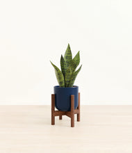Load image into Gallery viewer, Twilight Blue stand:walnut