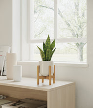 Load image into Gallery viewer, Cotton White stand:bamboo