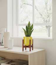Load image into Gallery viewer, Key Lime Yellow stand:walnut