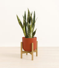 Load image into Gallery viewer, Earth Red stand:bamboo