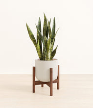 Load image into Gallery viewer, Natural Bamboo stand:walnut