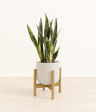 Load image into Gallery viewer, Natural Bamboo stand:bamboo