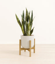 Load image into Gallery viewer, Natural Bamboo stand:bamboo