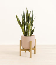 Load image into Gallery viewer, Sandy Pink stand:bamboo