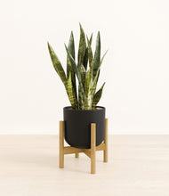 Load image into Gallery viewer, Stone Black stand:bamboo