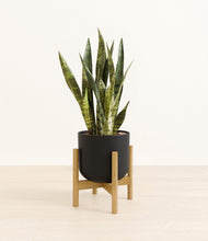 Load image into Gallery viewer, Stone Black stand:bamboo