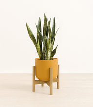 Load image into Gallery viewer, Sunset Orange stand:bamboo