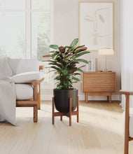 Load image into Gallery viewer, Stone Black stand:walnut