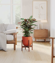 Load image into Gallery viewer, Earth Red stand:walnut