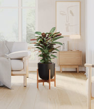 Load image into Gallery viewer, Stone Black stand:bamboo