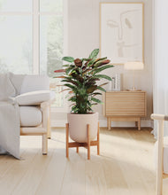 Load image into Gallery viewer, Sandy Pink stand:bamboo