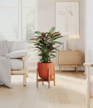 Load image into Gallery viewer, Earth Red stand:bamboo
