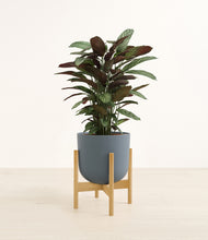 Load image into Gallery viewer, Iron Gray stand:bamboo