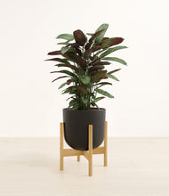 Load image into Gallery viewer, Stone Black stand:bamboo