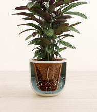 Load image into Gallery viewer, Natural Bamboo stand:all