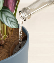 Load image into Gallery viewer, Iron Gray stand:all