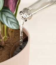 Load image into Gallery viewer, Sandy Pink stand:all