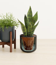 Load image into Gallery viewer, Eclipse