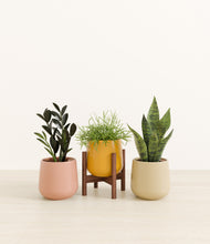 Load image into Gallery viewer, Evening Sky*****Profile