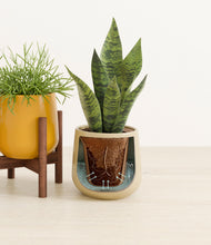 Load image into Gallery viewer, Evening Sky