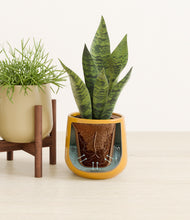 Load image into Gallery viewer, Fall