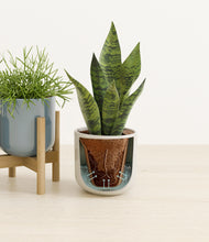 Load image into Gallery viewer, Pebble Shore