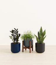 Load image into Gallery viewer, Eclipse*****Profile