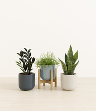 Load image into Gallery viewer, Pebble Shore*****Profile