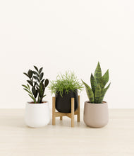 Load image into Gallery viewer, Twilight Glow*****Profile