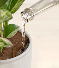 Load image into Gallery viewer, Hammered Ivory stand:all