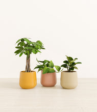 Load image into Gallery viewer, Evening Sky*****Profile