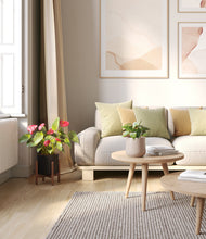 Load image into Gallery viewer, Hazy Skies stand:one_stand