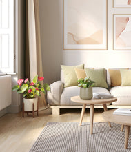 Load image into Gallery viewer, Mountain Ridge stand:one_stand