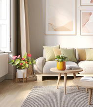 Load image into Gallery viewer, Tiger Lily stand:one_stand